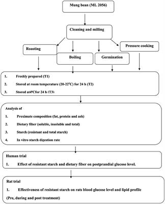 Exploring the impact of cooking techniques and storage conditions on resistant starch levels in mung beans and its effect upon blood glucose level and lipid profile in vivo